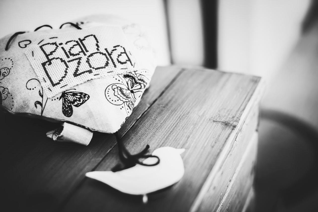 Ca 'D Langa B&B Treiso Buitenkant foto